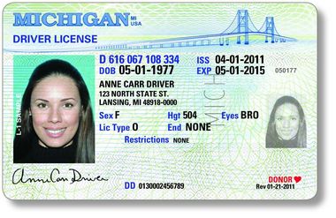 MI Drivers License